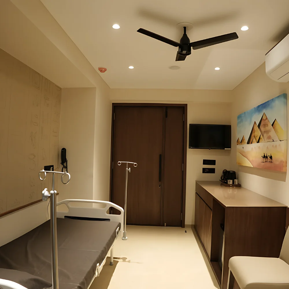 Egypt theme room at Tirtham Surgical Hospital